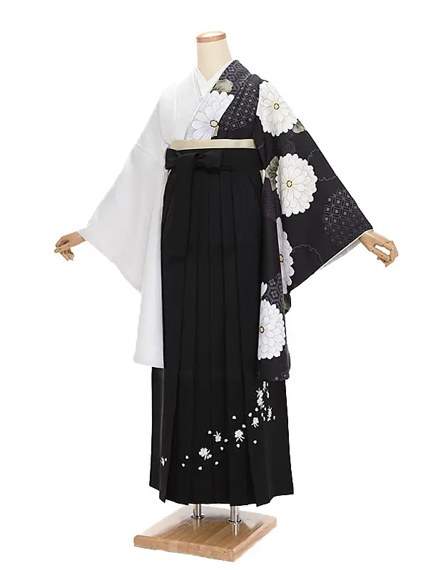 女性袴 アシンメトリー 雪輪に菊×黒 桜刺繍袴 0255