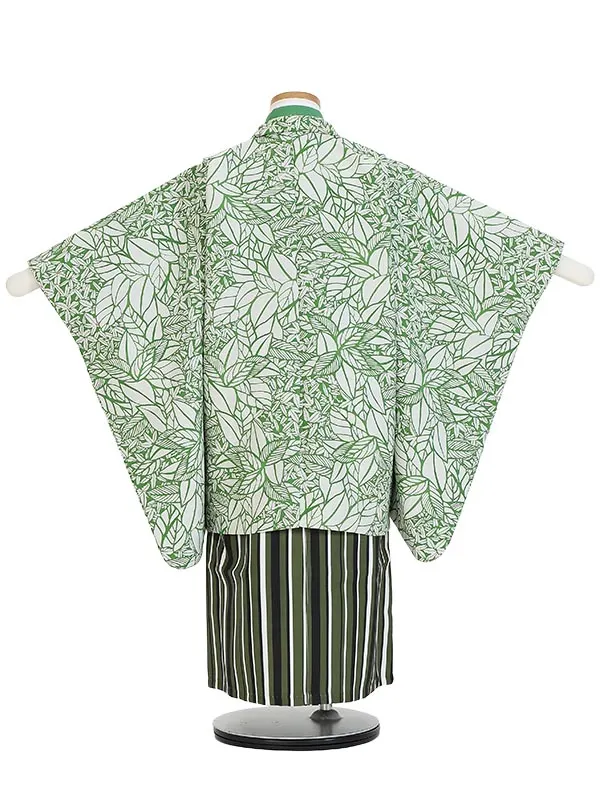 七五三レンタル(5歳男袴)Z517 モダンリーフ 緑×変わりストライプ袴