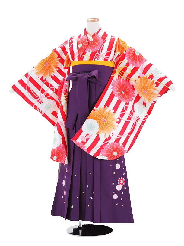 小学生卒業式袴 (女児)赤白地菊柄×紫 1304