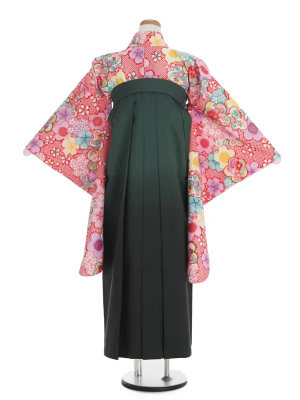 赤地雲取り小花柄×緑袴 1327