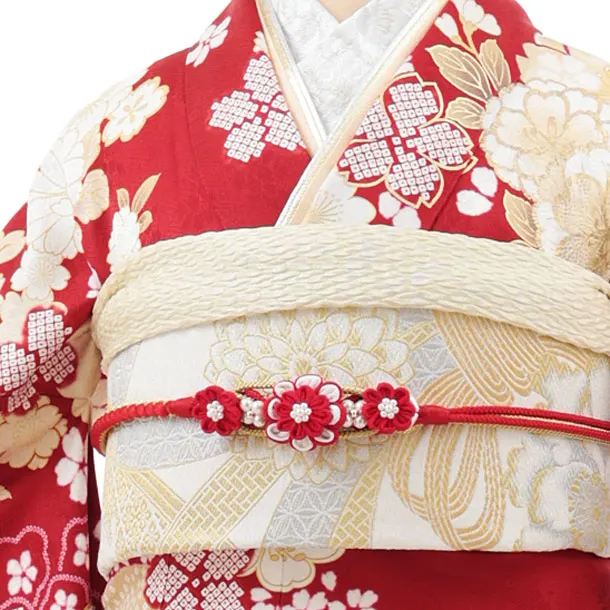 振袖レンタル1553　赤地 桜菊づくし