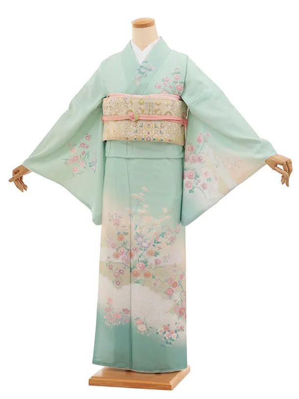 訪問着tt1529 式部浪漫 ベールグリーン 雲草花(トールサイズ)
