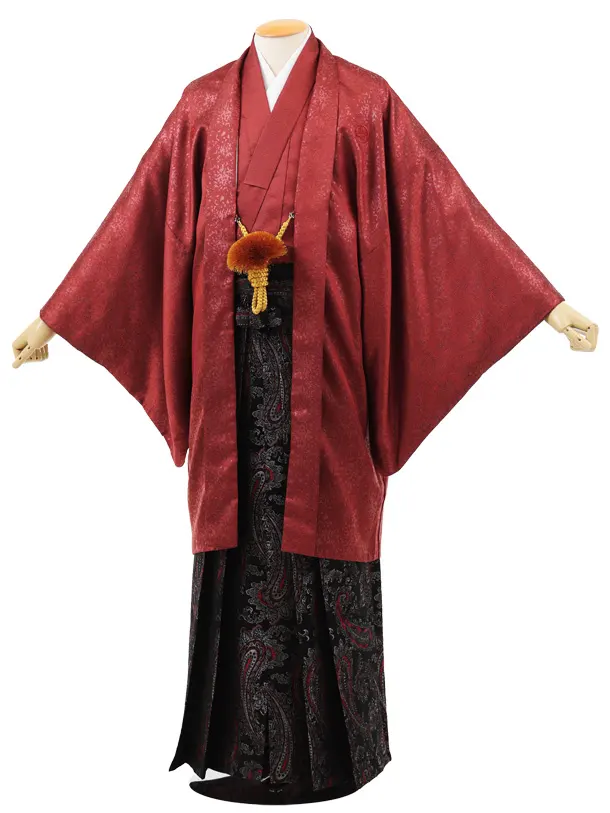 男性袴ﾚﾝﾀﾙ0301  えび茶紋服×黒金赤ペイズリー