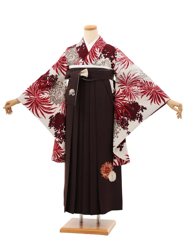 卒業袴T145　紅一点 アイボリー赤乱菊×ブラウン