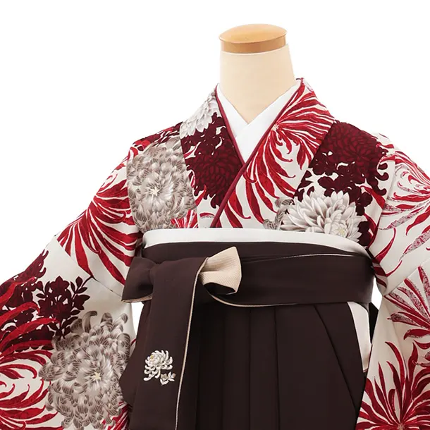 卒業袴T146　紅一点 アイボリー赤乱菊×ブラウン