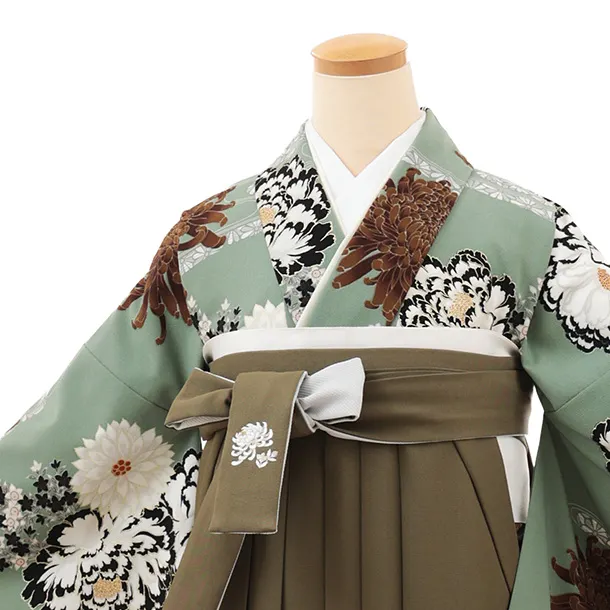 卒業袴T158　紅一点 ペールグリーン菊牡丹×モスグリーン