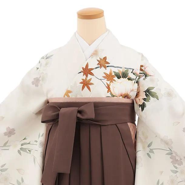 先生,教員向け袴レンタルT249【小袖】　オフ白桜牡丹×ブラウン