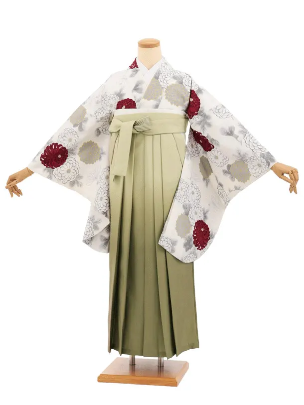 先生,教員向け袴レンタルT263クリーム菊×グリーンぼかし　