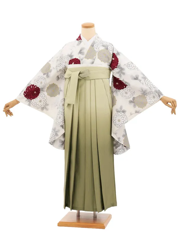 先生,教員向け袴レンタルT263クリーム菊×グリーンぼかし　