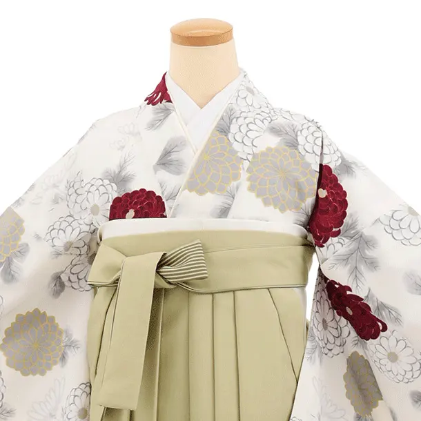 先生,教員向け袴レンタルT263クリーム菊×グリーンぼかし　