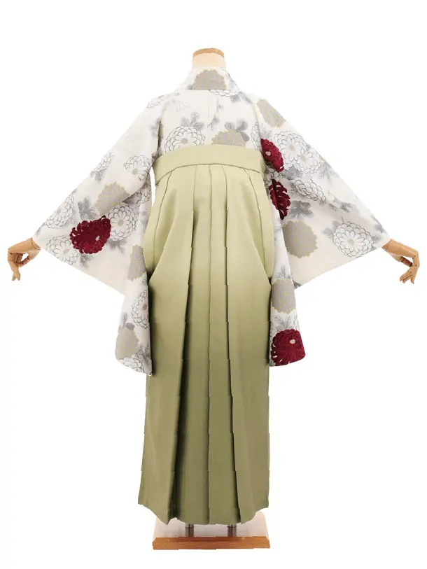 先生,教員向け袴レンタルT264クリーム菊×グリーンぼかし　