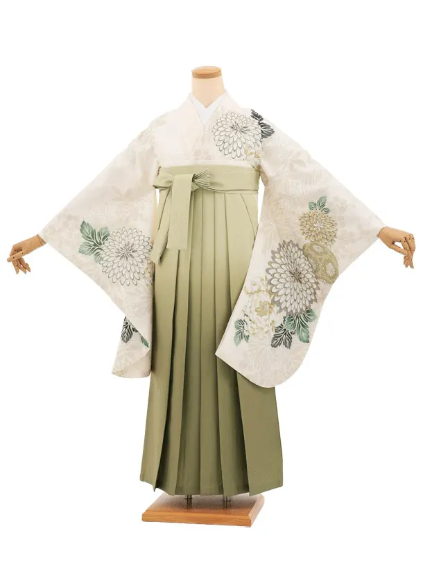 卒業袴T281クリームまりに菊×グリーンぼかし　