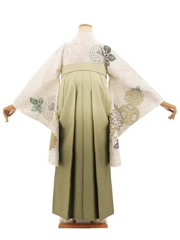 卒業袴T281クリームまりに菊×グリーンぼかし　