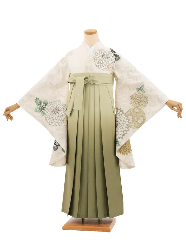 卒業袴T282クリームまりに菊×グリーンぼかし　