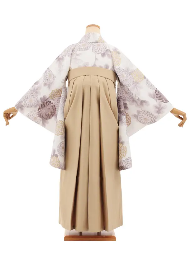 先生,教員向け袴レンタルT293白地菊×モカベージュ　