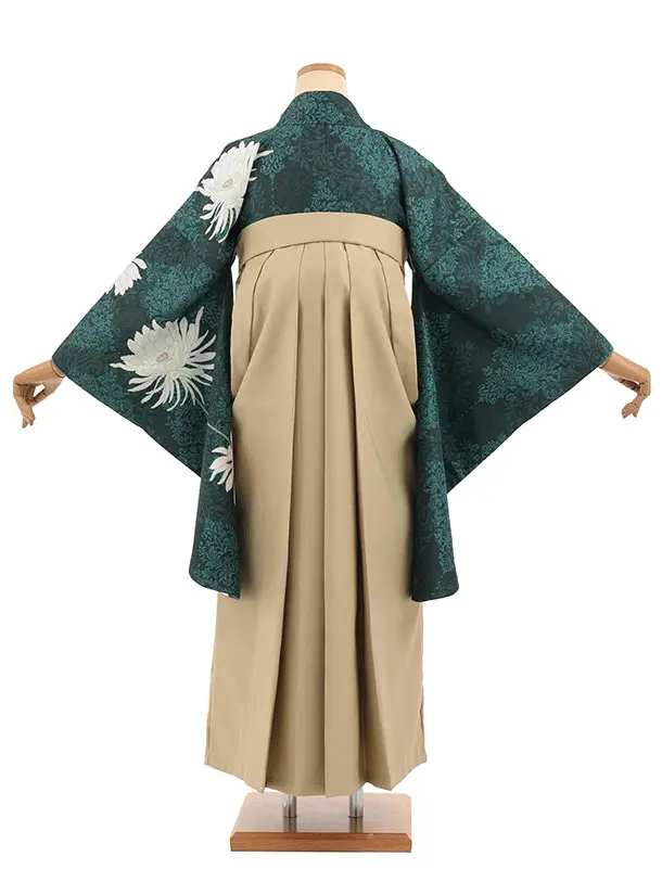 先生,教員向け袴レンタルT328グリーンダマスク柄に花×モカベージュ　