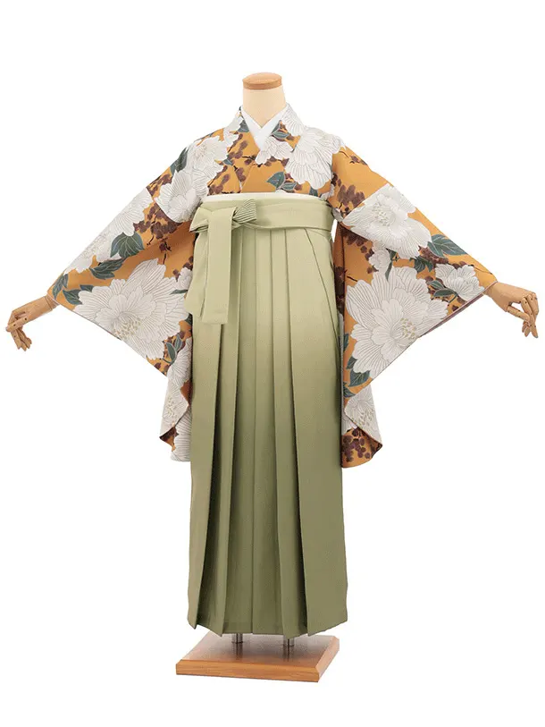 先生,教員向け袴レンタルT340からし色ぼたん×グリーンぼかし　