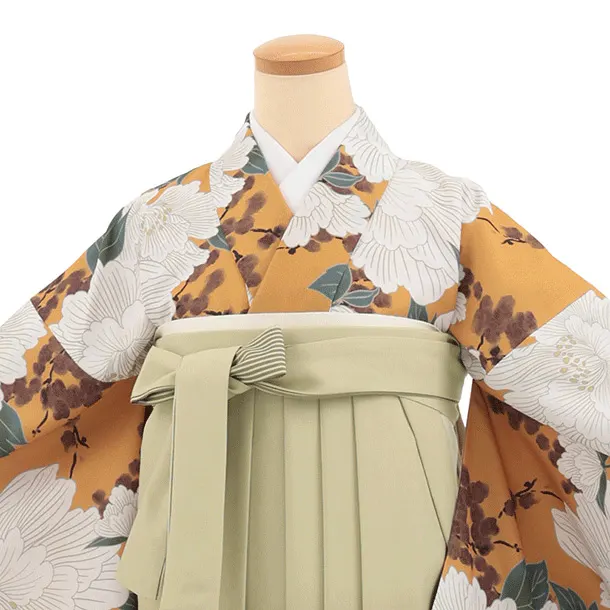 先生,教員向け袴レンタルT340からし色ぼたん×グリーンぼかし　
