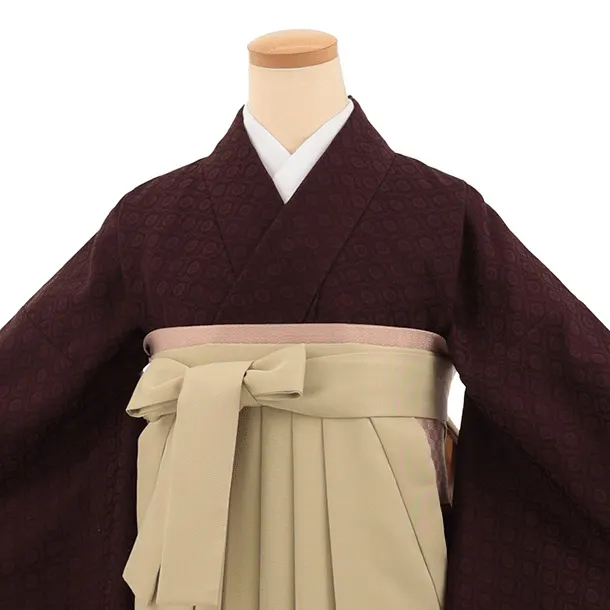 先生,教員向け袴レンタルT352ブラウン×ベージュ