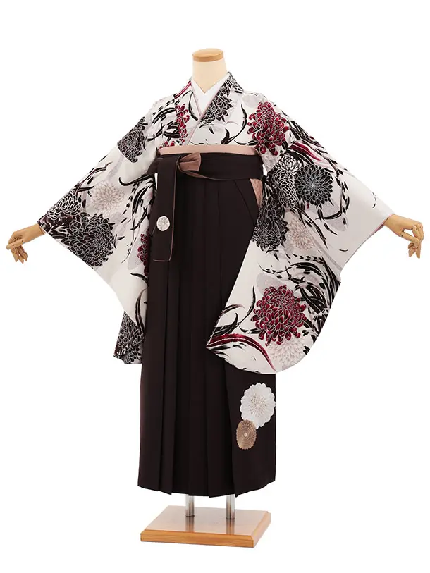 卒業式袴T469 JAPAN STYLE アイボリー菊と羽 × ブラウン