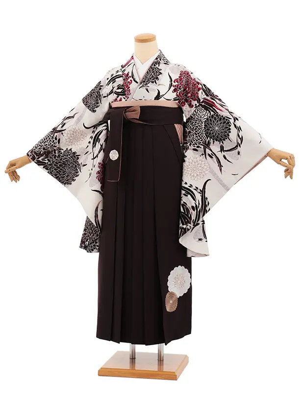 卒業式袴T469 JAPAN STYLE アイボリー菊と羽 × ブラウン