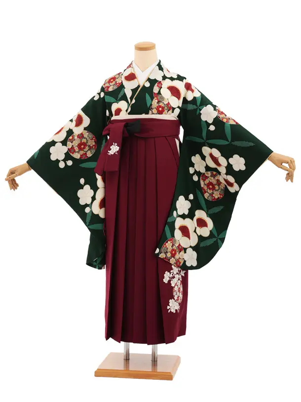 卒業式袴レンタルT503 九重 グリーン梅花丸 × ボルドー
