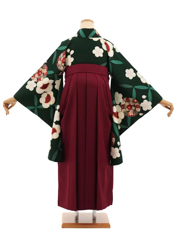 卒業式袴レンタルT503 九重 グリーン梅花丸 × ボルドー