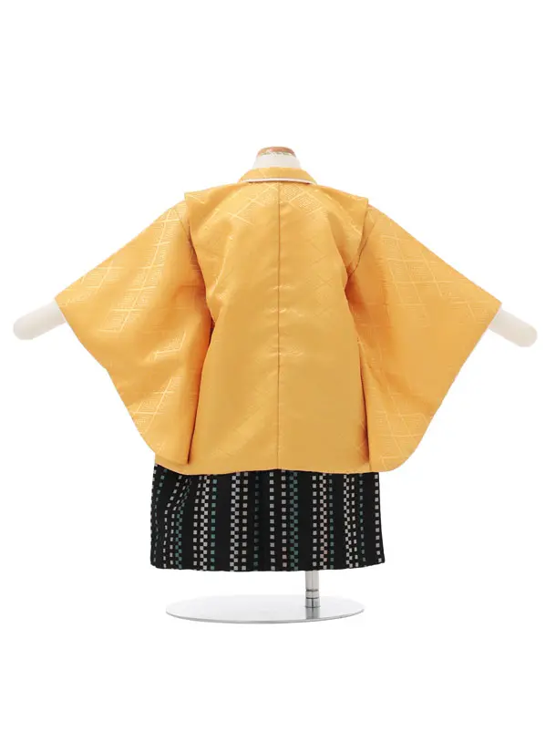 男児【１歳前後】 0181 金茶羽織黒袴セット/ｾﾊﾟﾚｰﾄ