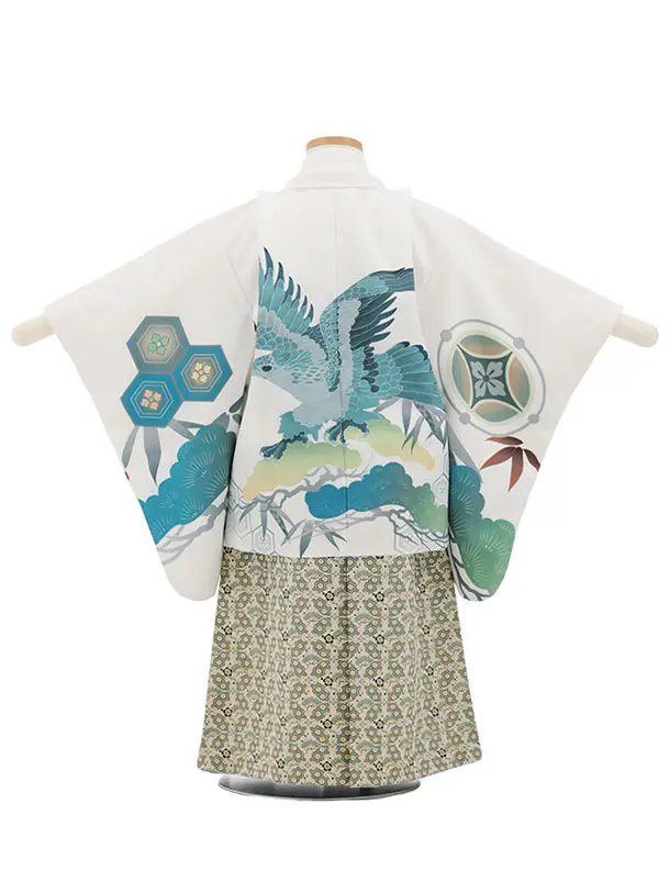 かんたん七五三(3歳男袴)W596 白地松に亀甲鷹×ベージュグリーン