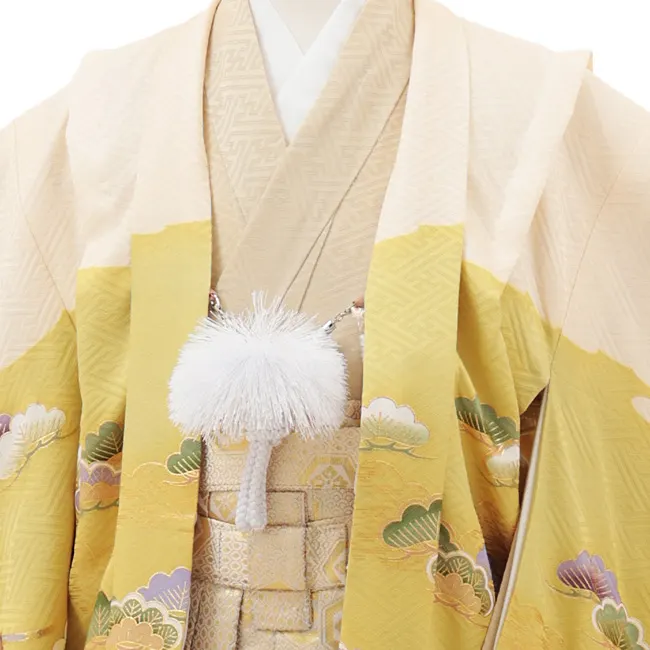 かんたん(5歳袴)X704【正絹】 クリーム萌黄色 吉祥文様 鷹×ゴールドぼかし