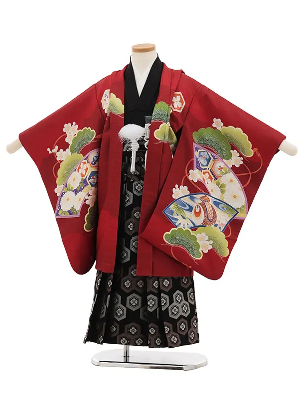 かんたん七五三(5歳男袴)X870  赤地扇絵に鷹×黒亀甲