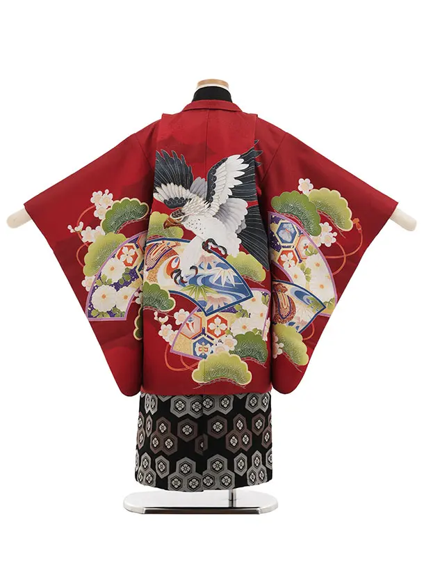 かんたん七五三(5歳男袴)X870  赤地扇絵に鷹×黒亀甲