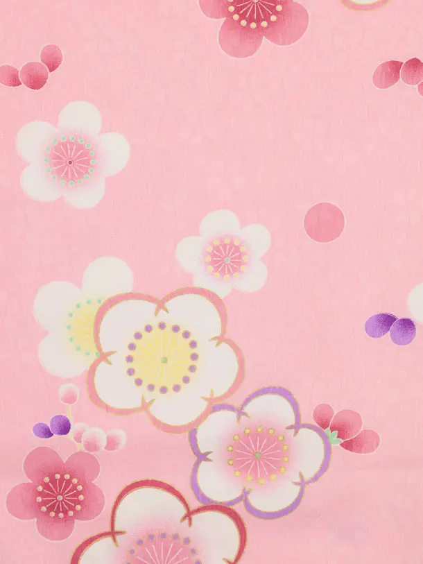 七五三レンタル(3歳女児被布)4905 パープル刺繍桜×ピンク桜地 梅