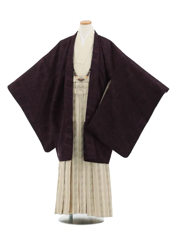 かんたん着付小学生男児袴ﾚﾝﾀﾙZ759  濃紫七宝×ベージュストライプ