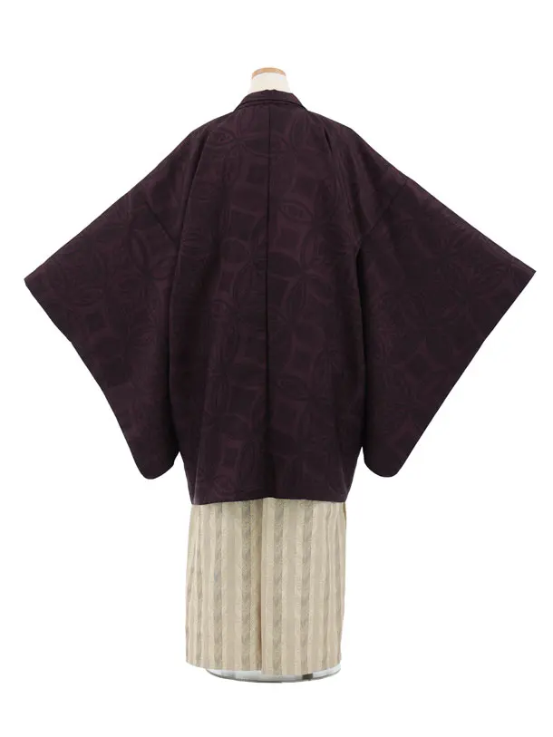 かんたん着付小学生男児袴ﾚﾝﾀﾙZ759  濃紫七宝×ベージュストライプ