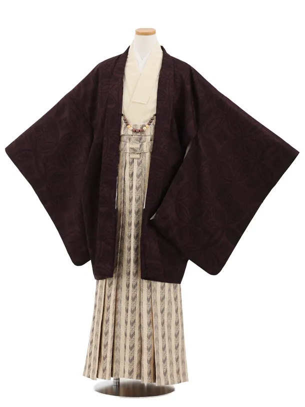 かんたん着付小学生男児袴ﾚﾝﾀﾙZ898 濃紫七宝×ベージュストライプ