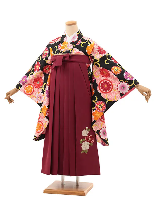 小学生卒業式略式袴(女の子) Z620 黒桜雲取り 花丸紋×エンジ椿
