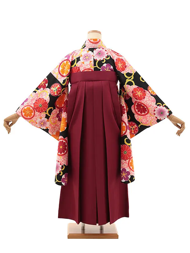 小学生卒業式略式袴(女の子) Z620 黒桜雲取り 花丸紋×エンジ椿