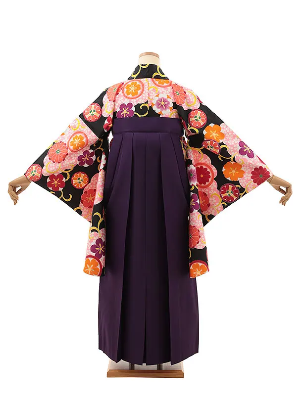 小学生卒業式略式袴(女の子) Z621 黒桜雲取り 花丸紋×紫椿