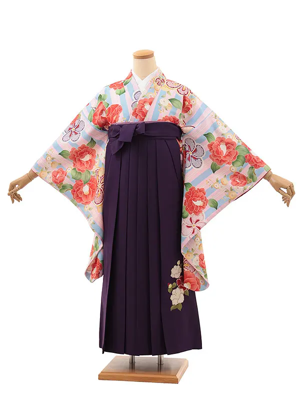 小学生卒業式略式袴(女の子) Z630 ピンクブルーストライプ椿×紫椿