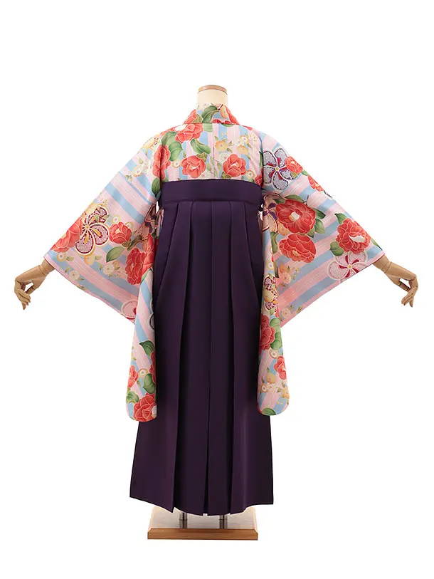 小学生卒業式略式袴(女の子) Z630 ピンクブルーストライプ椿×紫椿