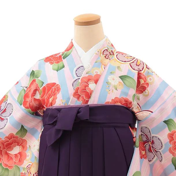 小学生卒業式略式袴(女の子) Z630 ピンクブルーストライプ椿×紫椿