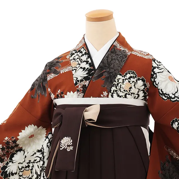 小学生卒業式袴(女の子)Z669 紅一点 金茶菊牡丹×ブラウン