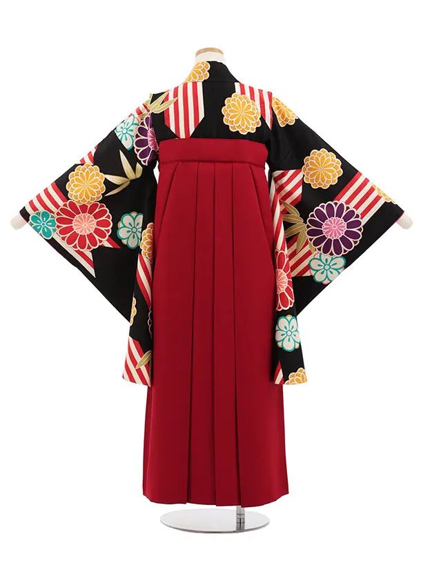 小学生卒業式かんたん袴(女の子) Z825 黒地菊梅×エンジ