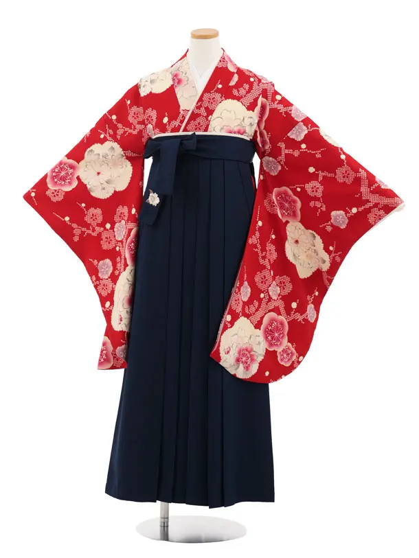 小学生卒業式かんたん袴(女の子) Z984 九重 赤梅菊×紺