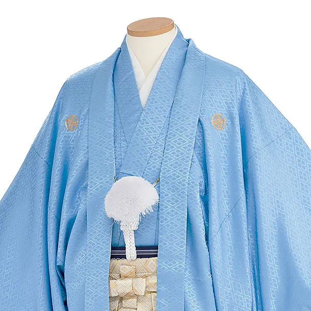 卒業式成人式袴ﾚﾝﾀﾙ190水色紋付鷹富士×金
