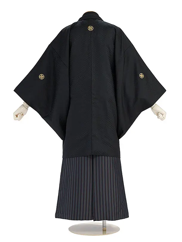 卒業式成人式袴ﾚﾝﾀﾙ193黒紋付／茶×ブルーグレー縞袴