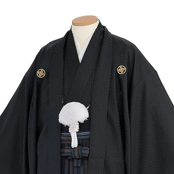 卒業式成人式袴ﾚﾝﾀﾙ193黒紋付／茶×ブルーグレー縞袴
