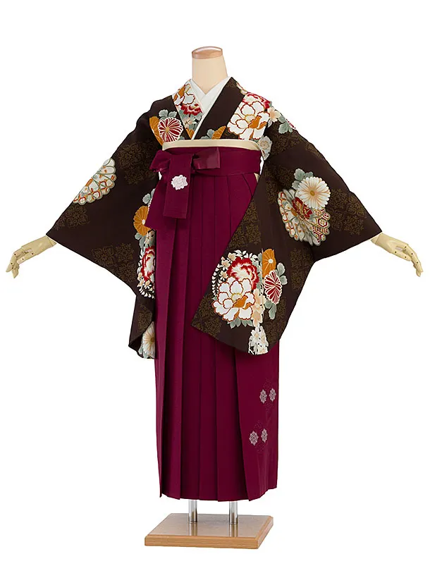 卒業式女性袴 1279 Kansai／茶色 牡丹菊／ボルドー袴
