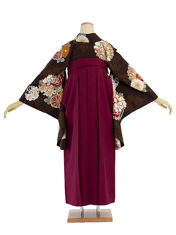 卒業式女性袴 1279 Kansai／茶色 牡丹菊／ボルドー袴